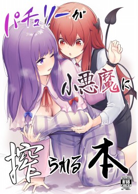 Thumbnail for Patchouli ga Koakuma ni Shiborareru Hon