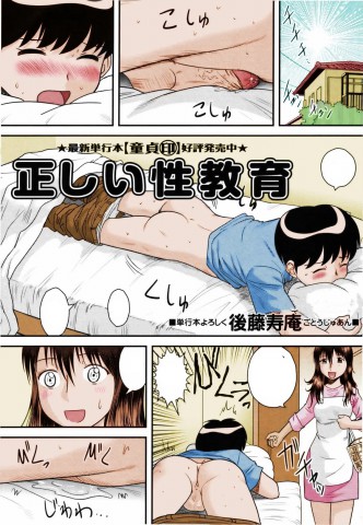 Thumbnail for Tadashii Seikyouiku